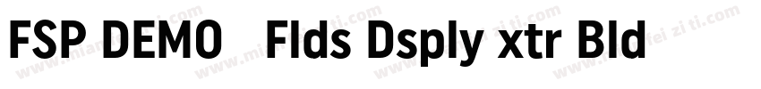 FSP DEMO   Flds Dsply xtr Bld Regul字体转换